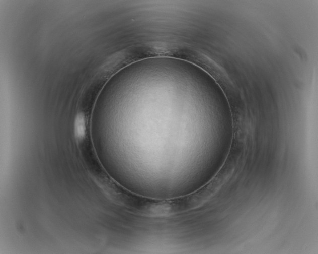 X0000115790075200911131317