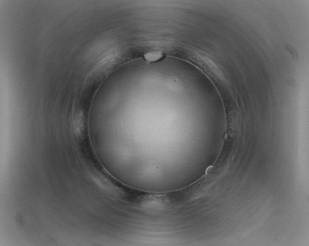 X0000115790077200911131317