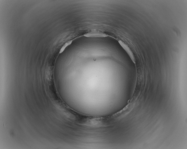 X0000115790078200911131317