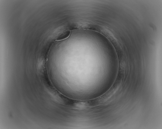 X0000115790079200911131317