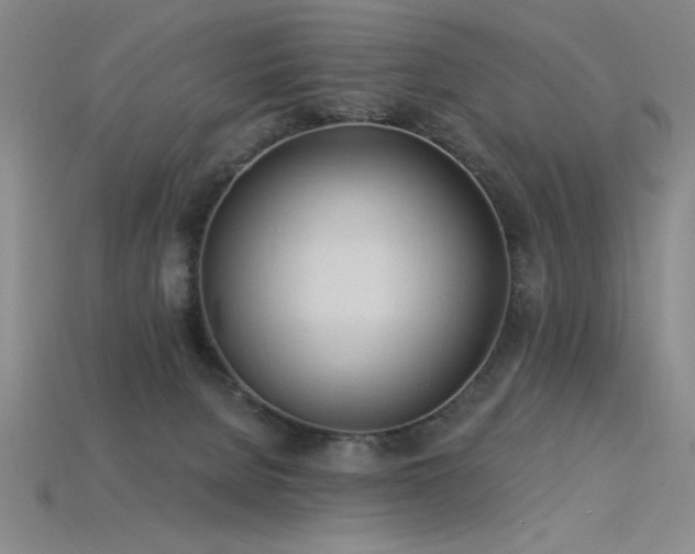 X0000115790080200911131317