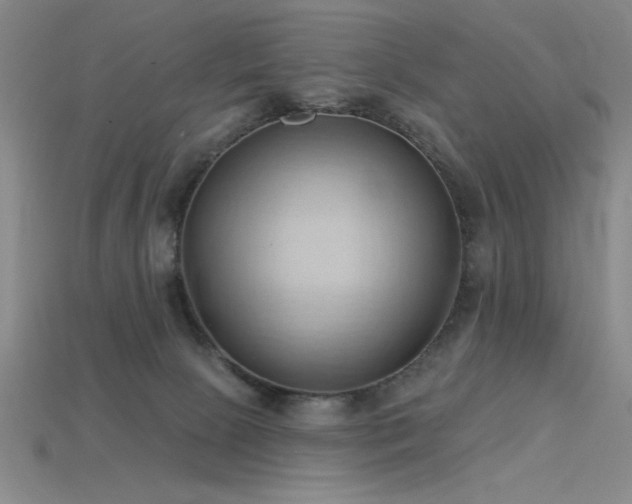 X0000115790081200911131317