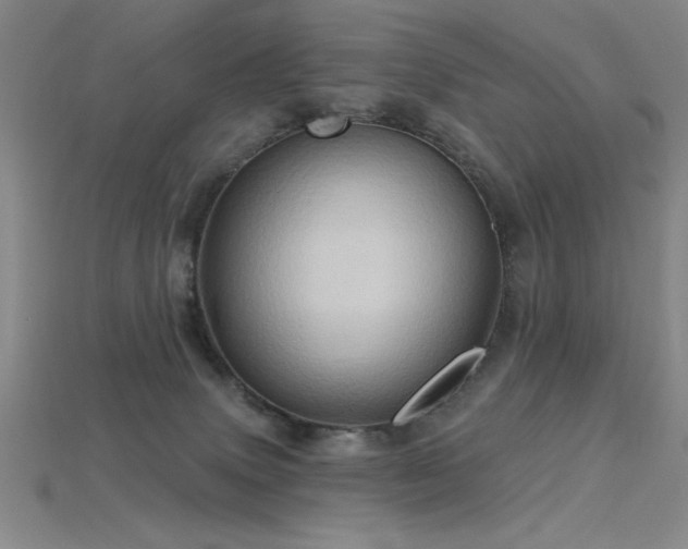 X0000115790083200911131317