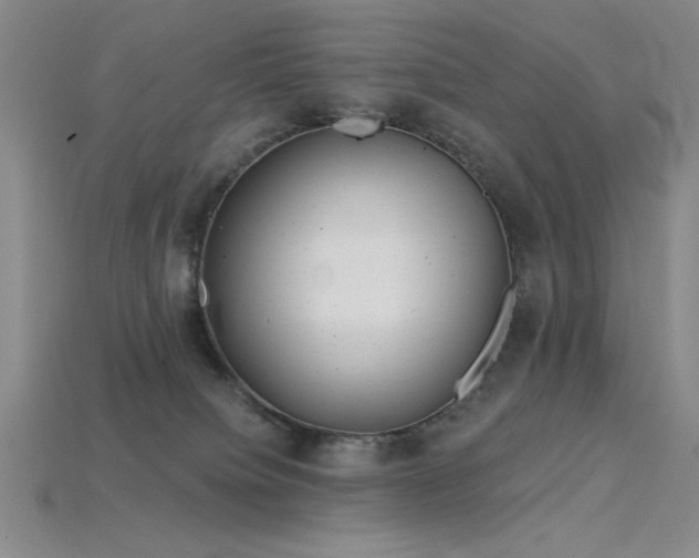 X0000115790084200911131317