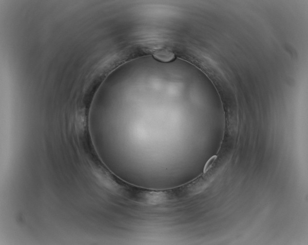 X0000115790085200911131317