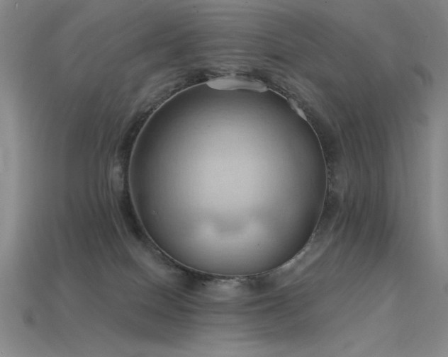 X0000115790086200911131317