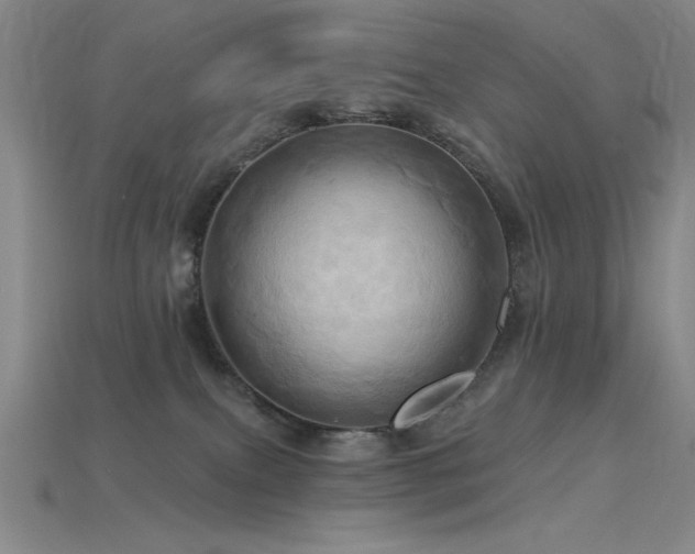 X0000115790087200911131317