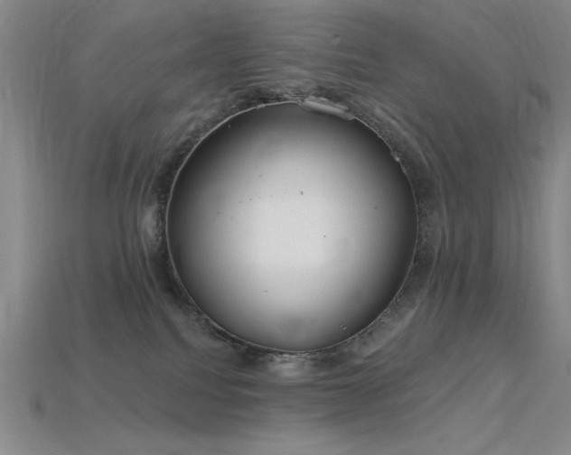 X0000115790088200911131317