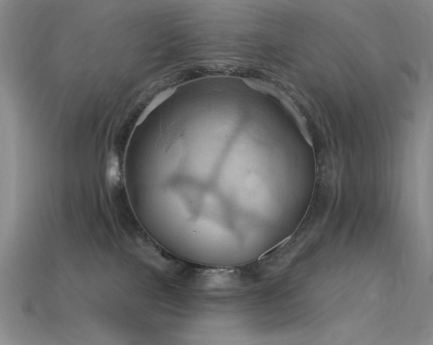 X0000115790089200911131317