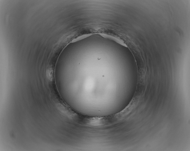 X0000115790090200911131317