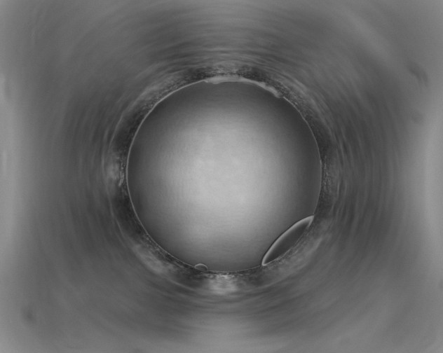 X0000115790091200911131317