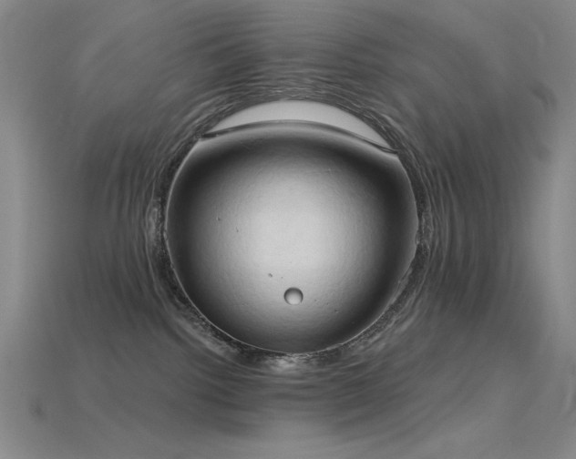 X0000115790092200911131317