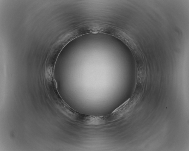 X0000115790093200911131317