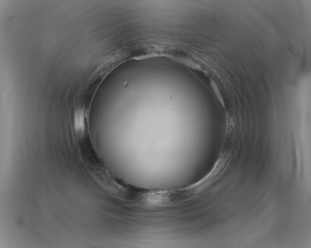 X0000115790094200911131317