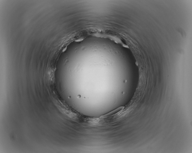 X0000115790096200911131317