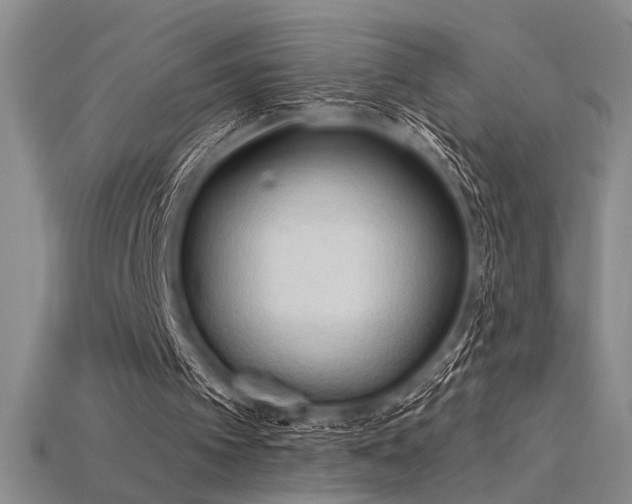 X0000115790097200911131316