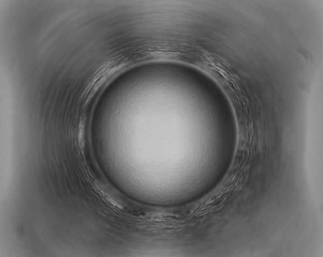 X0000115790098200911131316