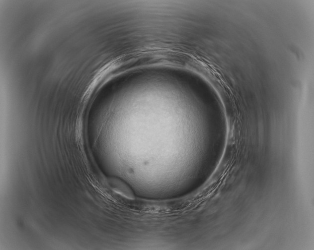 X0000115790099200911131316