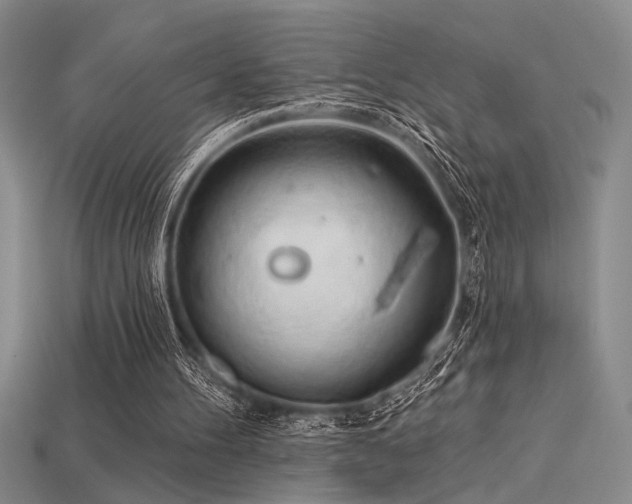 X0000115790100200911131316