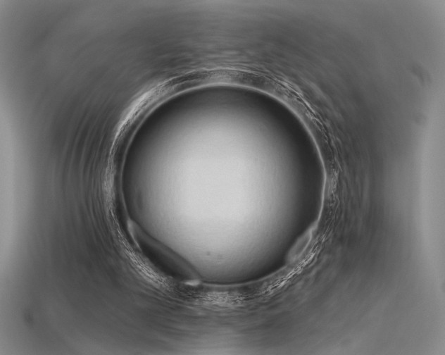 X0000115790101200911131316