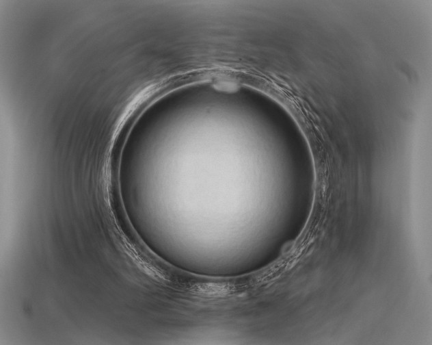 X0000115790102200911131316