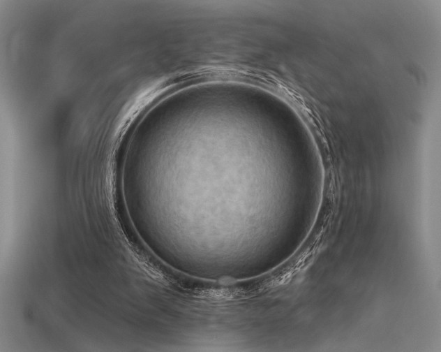 X0000115790103200911131316