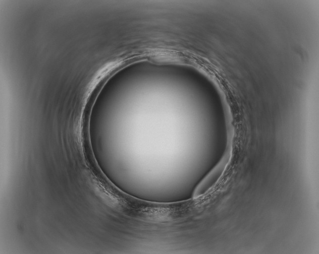 X0000115790104200911131316