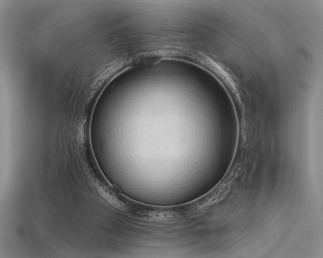 X0000115790105200911131316