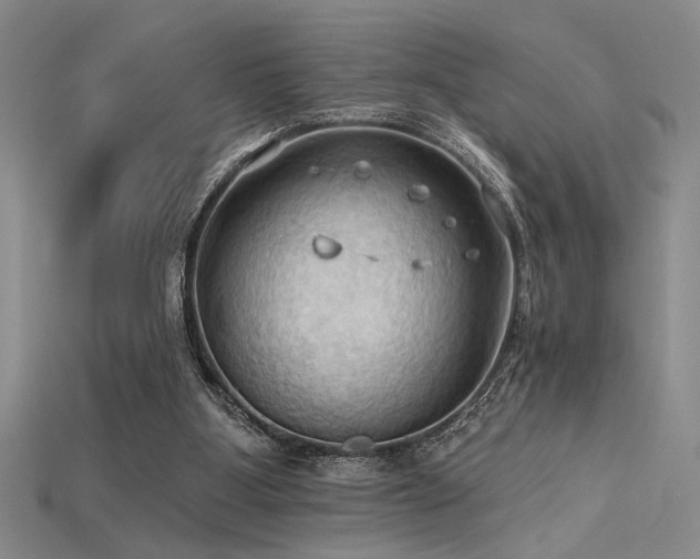 X0000115790107200911131316