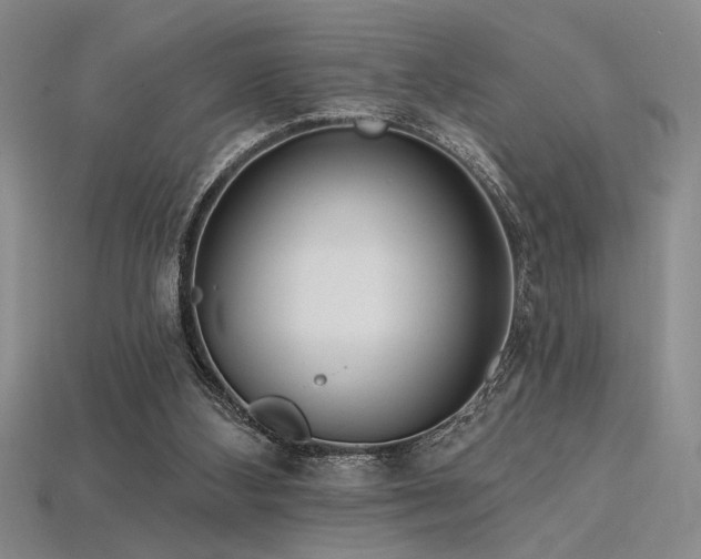 X0000115790108200911131316