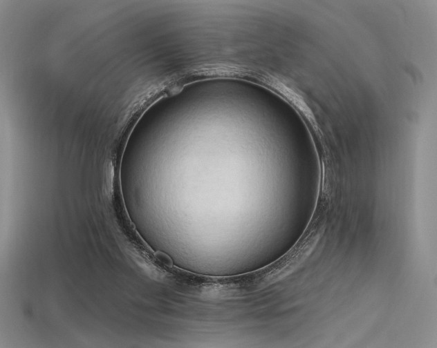 X0000115790109200911131316