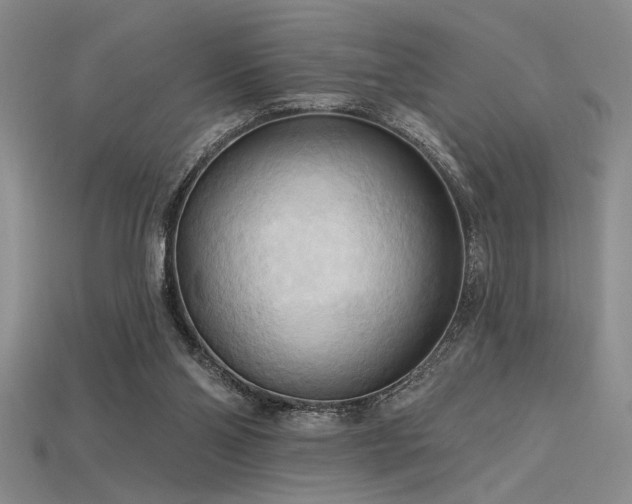 X0000115790110200911131316