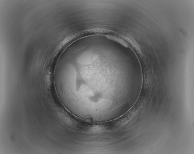 X0000115790111200911131316