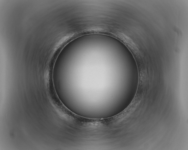 X0000115790112200911131316