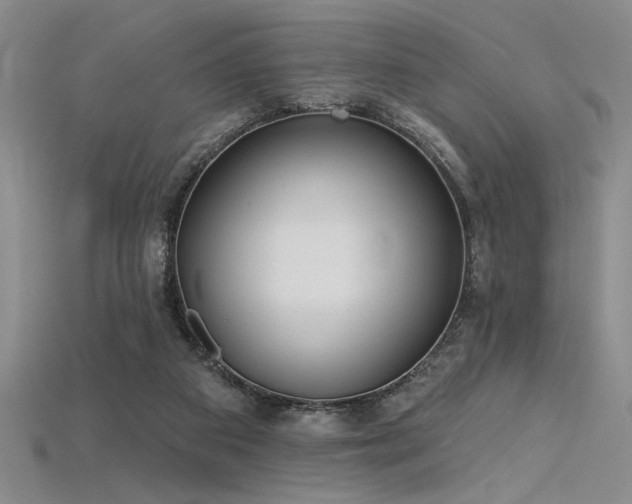 X0000115790113200911131316