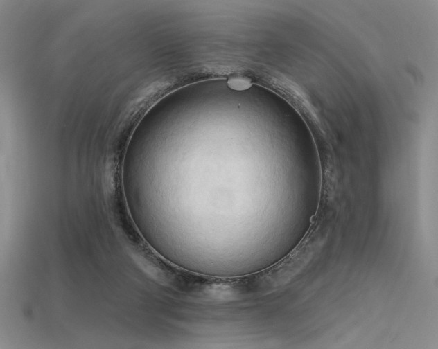 X0000115790114200911131316