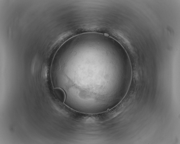 X0000115790115200911131316