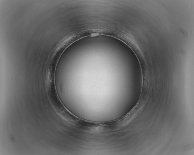 X0000115790116200911131316