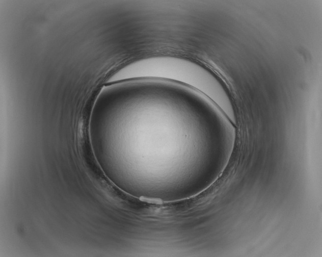 X0000115790117200911131316