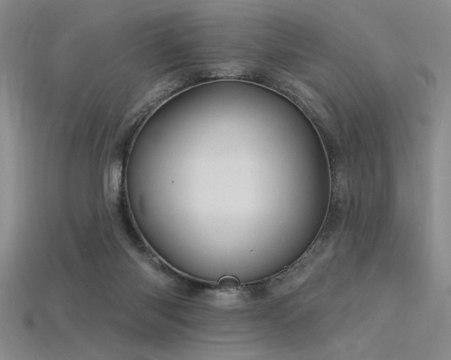 X0000115790118200911131316