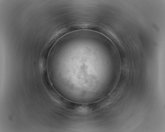 X0000115790119200911131316