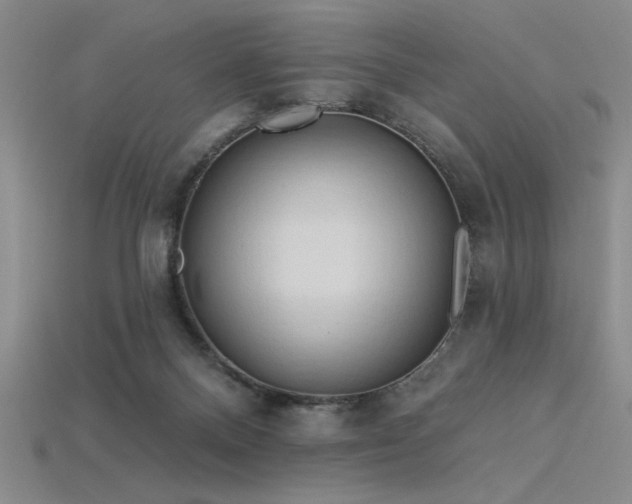 X0000115790120200911131316