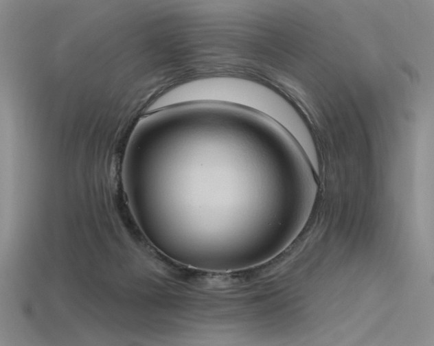 X0000115790121200911131316