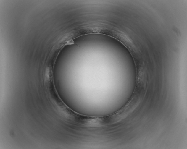 X0000115790122200911131316