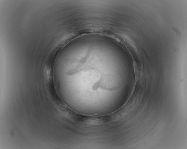 X0000115790123200911131316