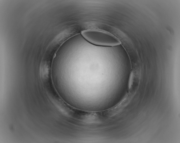 X0000115790124200911131316