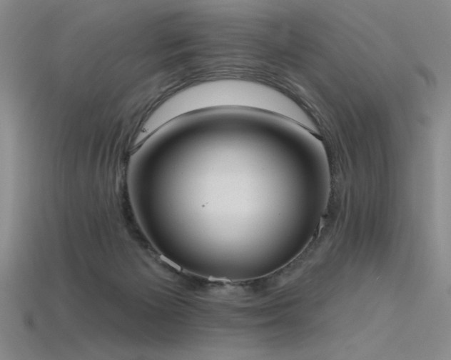 X0000115790125200911131316