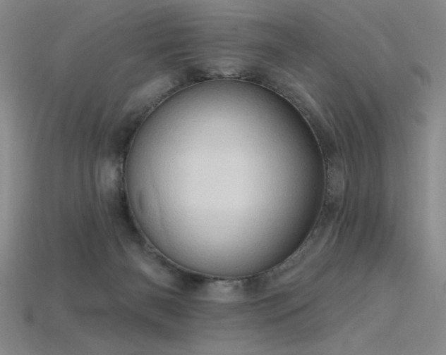 X0000115790126200911131316