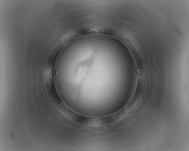 X0000115790127200911131316