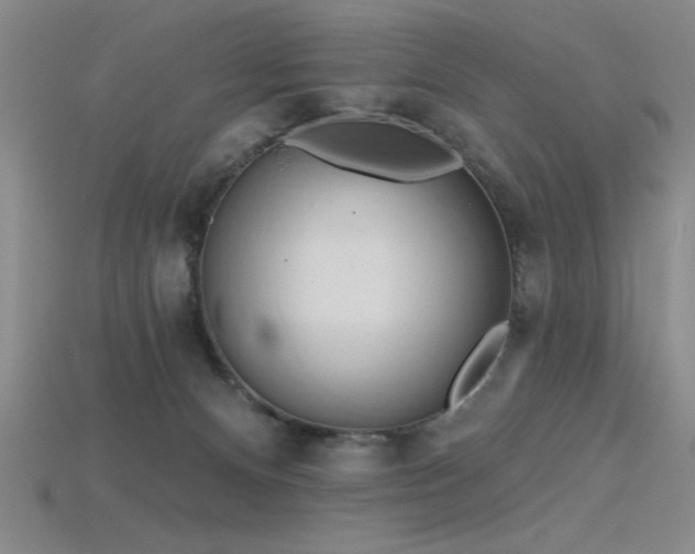 X0000115790128200911131316